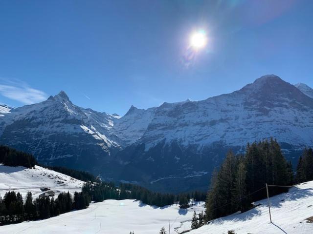 Grindelwald-Sunneblick Exterior foto